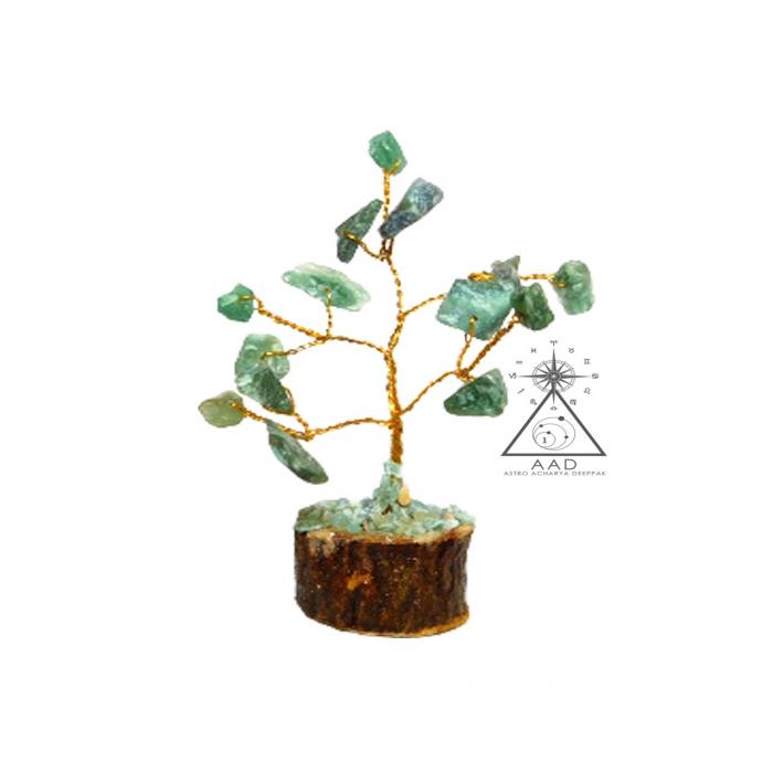 Green Jade Small Tree / ग्रीन जेड छोटा पेड़
